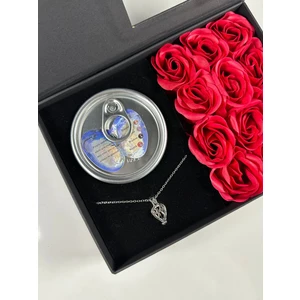 DMR Accessoire Güllü Kutuda Gerçek Istiridye Kolye 14 Şubat Sevgililer Günü Hediyesi Doğum Günü Hediyesi