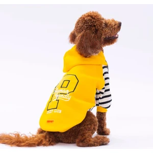 Sarı Lucky Club Polarlı Küçük Irk Köpek Sweatshirtü