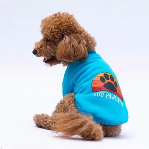 Turkuaz Carmel Polarlı Küçük Irk Köpek Sweatshirtü