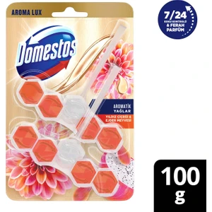Tuvalet Bloğu Aroma Lux Yıldız Çiçeği & Ejder Meyvesi 100 g
