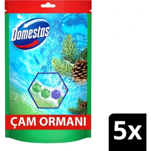 Tuvalet Bloğu Çam Ormanı 5'Li Güç 250 G