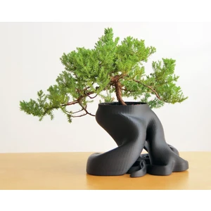 Bonsai Bitki Saksısı