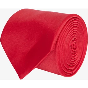 Altınyıldız Classics Kravat