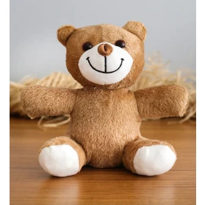 - Uyku Arkadaşı - Sevimli Peluş Ayı