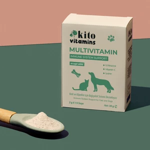 Multivitamin 2g x 15 Saşe