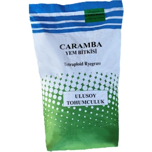 Ulusoy Tohumculuk Caramba Yem Bitkisi Tohumu Tetraploid Ryegrass 25Kg