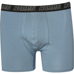 Bekes Erkek Mavi Boxer