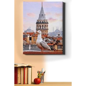 Galata Kulesi ve Martı Sayılarla Boyama Seti Kasnaklı 40 x 50 cm