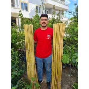 Çermik Fidancılık Bambu Fidan Bitki Destek Çubuğu 40 Adet 2 Metre Boy