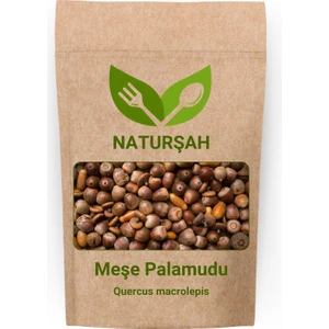 Meşe Palamudu Quercus Macrolepis 100 gr