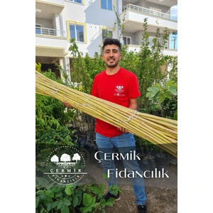 Çermik Fidancılık 1,5 Metre Fidan Bitki Destek Çubuğu Bambu 10 Adet