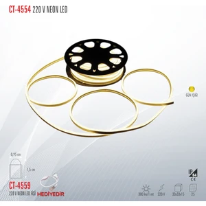 CT-4554 220 V Neon LED Şerit (5 Metre)