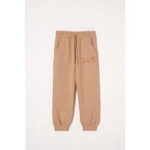 Yazı Baskılı Vizon Renk Erkek Çocuk Eşofman Tek Alt