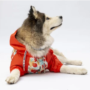 Ottawa Büyük Irk Köpek Tulum Yağmurluğu