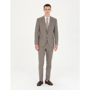 Pierre Cardin Erkek Vizon Takım Elbise 50277158-VR052