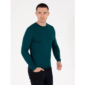Pierre Cardin Erkek Yeşil Slim Fit Bisiklet Yaka Yün Karışımlı Basic Triko Kazak 50257301-VR054