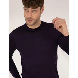 Pierre Cardin Erkek Mor Slim Fit Bisiklet Yaka Yün Karışımlı Basic Triko Kazak 50257301-VR038