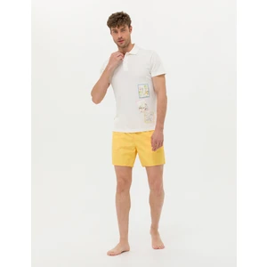 Pierre Cardin Erkek Sarı Deniz Şortu 50275936-VR044