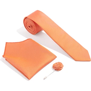 Pierre Cardin Erkek Yavruağzı 3'lü Kravat-Mendil-Kravat İğnesi Set 50272351-590