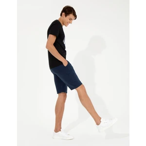 Pierre Cardin Erkek Lacivert Standart Fit Örme Şort 50251039-VR033