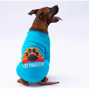 Turkuaz Carmel Polarlı Orta-Büyük Irk Köpek Sweatshirtü