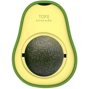 Avokado Kedi Otu Kedi Nanesi