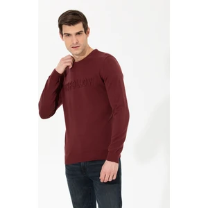 Pierre Cardin Erkek Bordo Slim Fit Bisiklet Yaka Triko Kazak 50259797-VR014