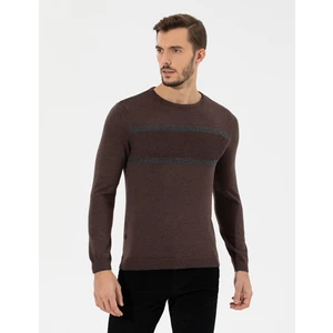 Pierre Cardin Erkek Açık Kahverengi Slim Fit Bisiklet Yaka Triko Kazak 50258805-VR160