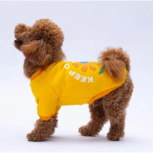 Sarı Lahti Polarlı Küçük Irk Köpek Sweatshirt