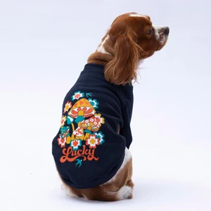 Siyah Chongqing Polarlı Küçük Irk Köpek Sweatshirtü