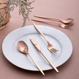Alisa 30 Parça 6 Kişilik Parlak Bronz Kutulu Çatal Kaşık Bıçak Takımı