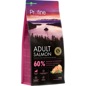 Gluten Free Adult Salmon 12KG