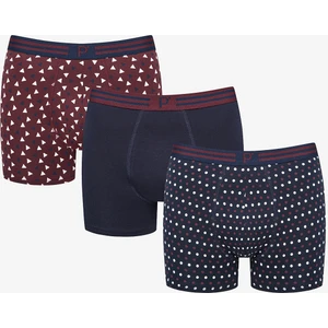 Pointed 3lü Çok Renkli Boxer