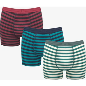 Bold 3lü Çizgili Çok Renkli Boxer Külot