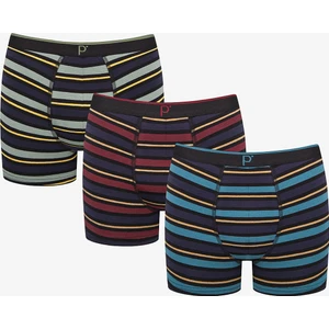 Detailed 3lü Çizgili Çok Renkli Boxer