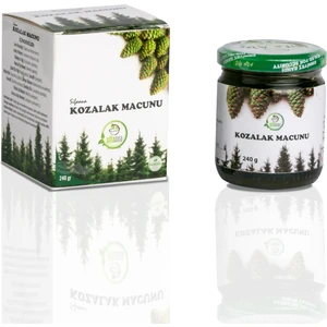 Şifa Ana Çam Kozalağı Macunu 240 gr