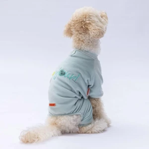 Mint Angers Köpek Tulumu