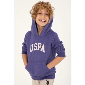U.S. Polo Assn. Erkek Çocuk Mor Sweatshirt 50293614-VR038