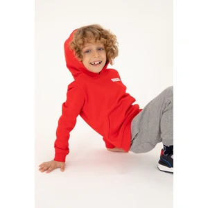 U.S. Polo Assn. Erkek Çocuk Kırmızı Sweatshirt 50293566-VR030