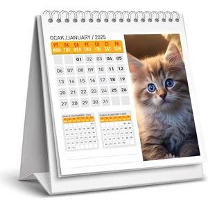 2025 Kedi Masa Takvimi