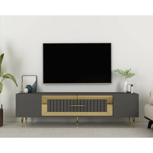 Cantek Dizayn DEKOLP3CT Tv Sehpası Antrasit-Altın