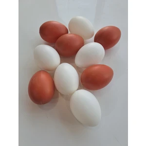 Sahte Tavuk Yumurta Beyaz 5 Adet Kahverengi 5 Adet