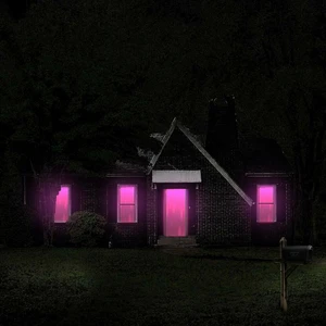 Future - Mixtape Pluto (Plak)