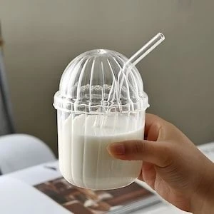 Snow Home 1 Adet Cam Oval Kapaklı Isıya Dayanıklı Pinterest Bardak | Kahve ve Sunum Bardağı| 430 ml