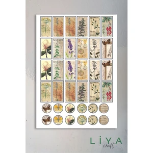 Pul Temalı Sticker Planner Ajanda Bullet Journal Için Uygun Set