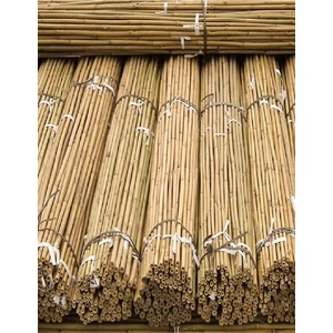 Doğa Fidancılık 50 Adet Bambu Bitki Fidan Destek Çubuğu 1 Metre
