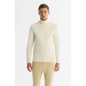 Avva Erkek Ekru Tam Balıkçı Yaka Desenli Soft Touch Triko Regular Fit Kazak A42Y5117