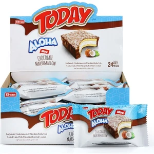 Today Aloha Hindistan Cevizli Kek  20GR X24 (1 Kutu)