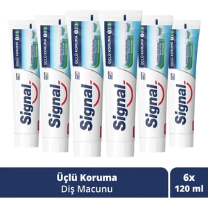 Diş Macunu Çürüklere Karşı Nane Ferahlığı 120 ml X6 Adet