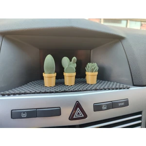 Otomobil Torpido Süsü Kaktüs Sukulent Cactus Succulent Süsü 3'lü